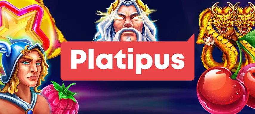 Platipus Provider